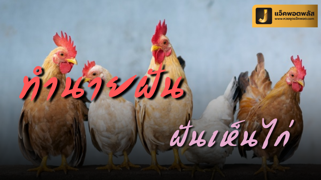 ฝันเห็นไก่